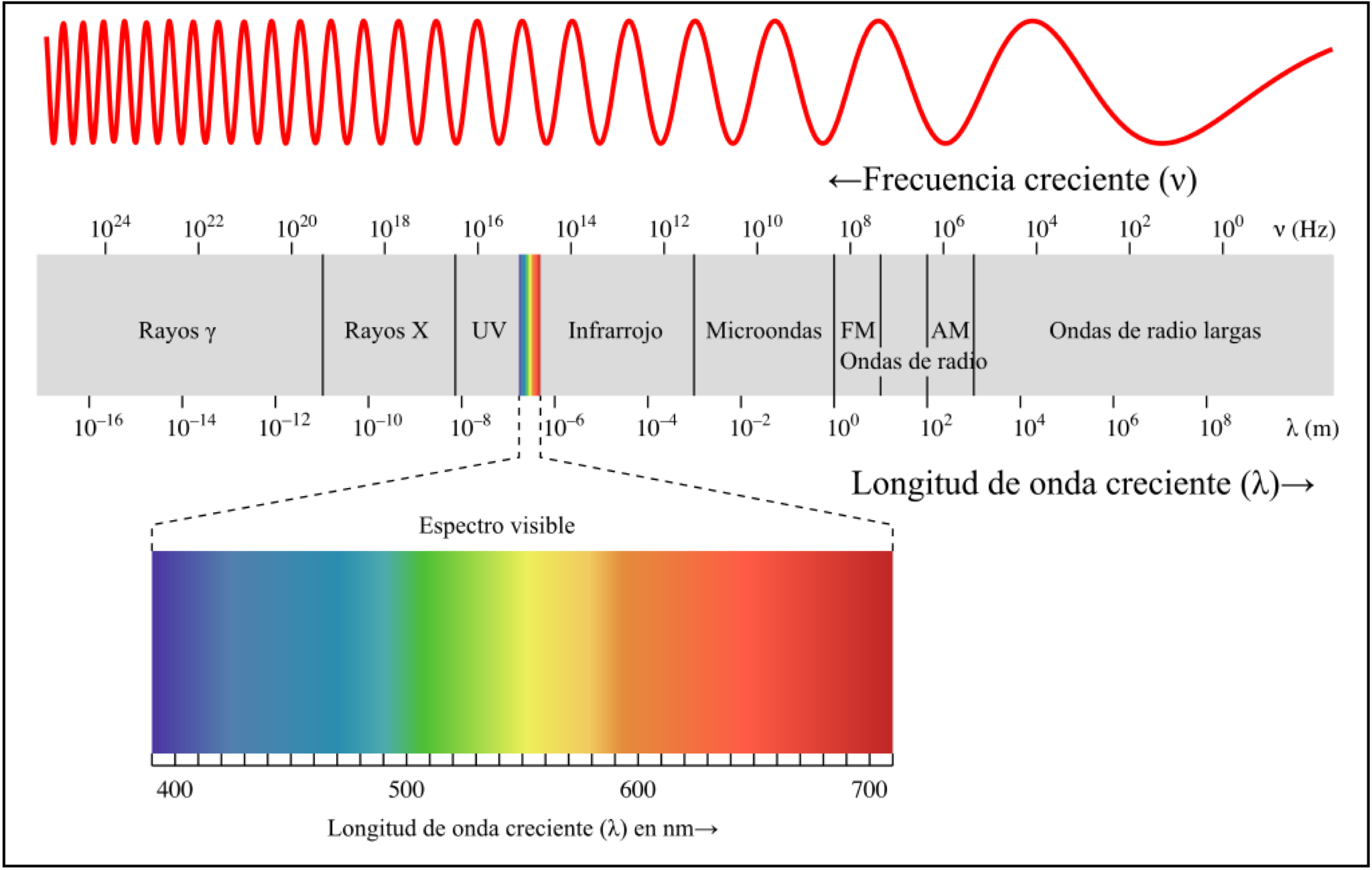 Частота видимых лучей. Диапазон частот гамма излучения в Гц. Спектр света длины волн. Диапазон видимого света. Длина электромагнитной волны.